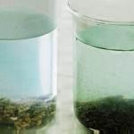 Чем отличается коагулянт от флокулянта для очистки воды