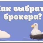 Важные критерии выбора брокера
